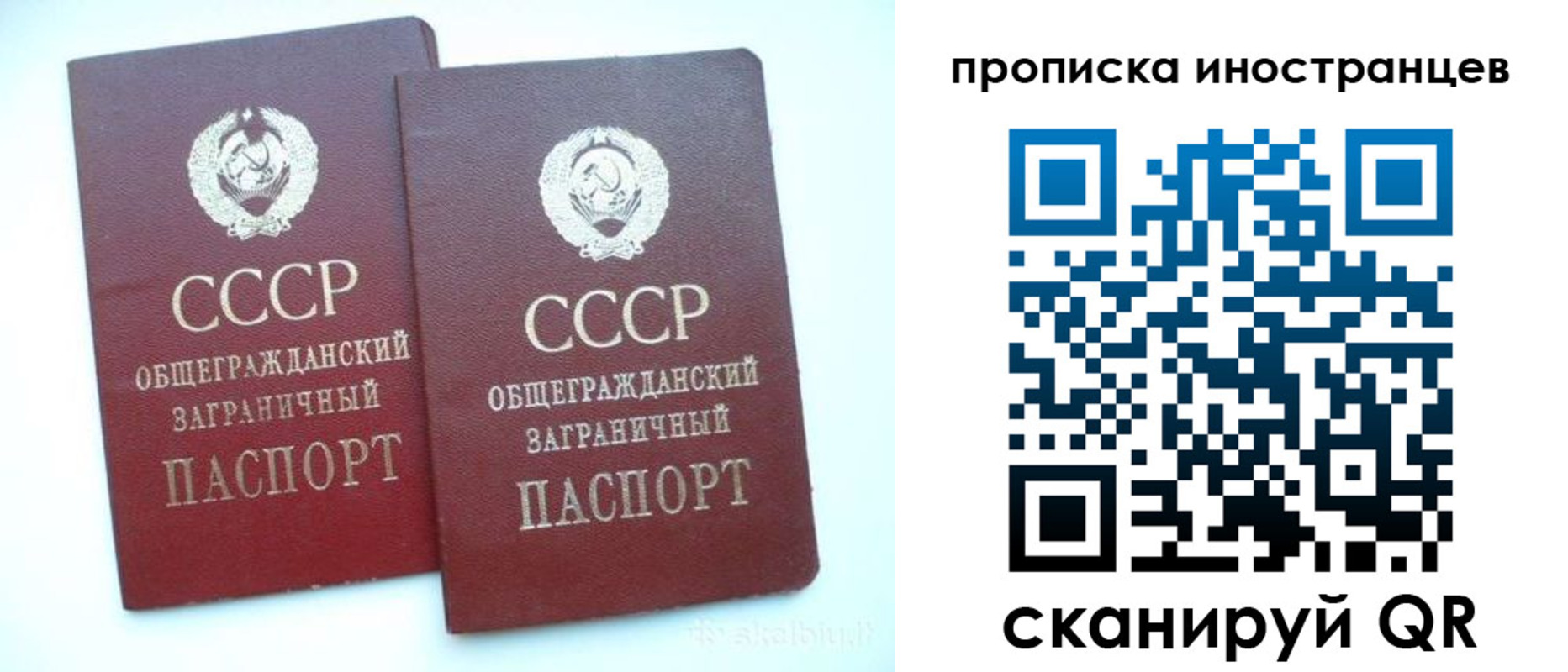 временная регистрация госуслуги в Камчатской области